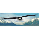Puzzle Eagle Panoramic 1000pc