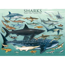 Puzzle Sharks 1000pc