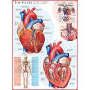 Puzzle The Heart 1000pc