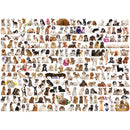 Puzzle World Of Dogs 1000pc
