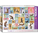 Puzzle Yoga Cats 1000pc