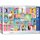 Puzzle Yoga Dogs 1000pc