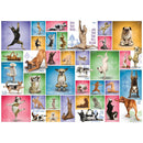 Puzzle Yoga Dogs 1000pc