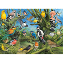 Puzzle Garden Birds Jardin 1000pc