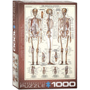 Puzzle The Skeletal System 1000pcs