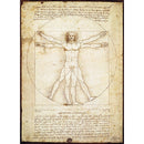 Puzzle Da Vinci Vitruvian Man 1000pc