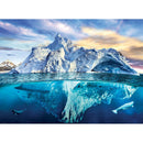 Puzzle Arctic 1000pc