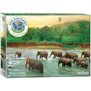 Puzzle Rainforest 1000pc