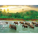 Puzzle Rainforest 1000pc