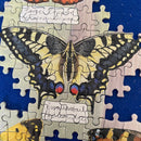 Puzzle Beautiful Butterflies 1000Pc