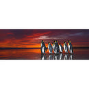Puzzle Panorama King Penguins 1000Pc
