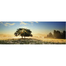Puzzle Panorama Play Of Light 1000Pc