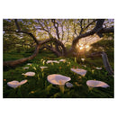 Puzzle Magic Forests Calla Clearing