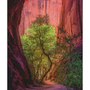 Puzzle Power Of Nature Singing Canyon