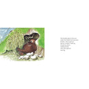 Wake Up Bear Book