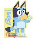 All About Bluey Book