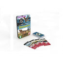 Go Fish Dinosaurs MagnetTin Board Game
