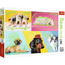 Puzzle Neon Colour Line Dogs 1000Pc