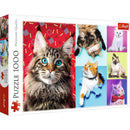 Puzzle Happy Cats 1000Pc
