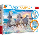 Puzzle Crazy Shapes! Galloping Waves