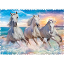 Puzzle Crazy Shapes! Galloping Waves