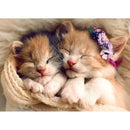 Puzzle Sleeping Kittens 500P