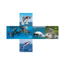 V-Cube Australia 2X2 Pillow