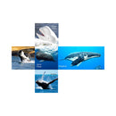V-Cube Whales 2X2 Pillow