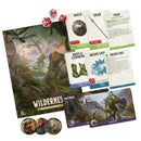 Dungeons & Dragons Heroes of the Borderlands Starter Set Kit