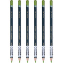 Derwent Artists Pencil May Green Pack 6