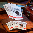 Magic the Gathering Assassins Creed Beyond Booster Box Display 24 Packs Trading Card Game