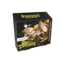 Magic the Gathering Secrets of Strixhaven Collector Boosters 12 Boosters Per Display