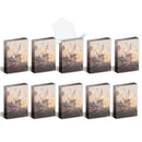 Cubeamajigs 10-Pack -Faded Academy Game