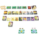 Ludonaute Living Forest Duel Game