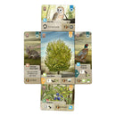 Asmodee Forest Shuffle Dartmoor Game