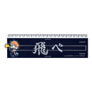 Good Smile Company Haikyu!! Banner Ruler Shoyo Hinata Figurine