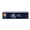 Good Smile Company Haikyu!! Banner Ruler Shoyo Hinata Figurine