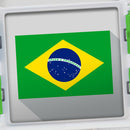 100 PICS Quizz Flags Game