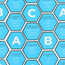 Ginger Fox Hex Games - Best Guess Game