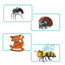 Concept Kids Animals Game