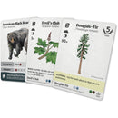 Reforest - Plants of the Pacific Northwest Coast Game