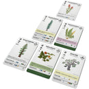 Reforest - Plants of the Pacific Northwest Coast Game