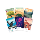 Ecosfera Expansion Game