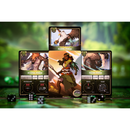 Heroes of the Shire - Collectors Edition Game