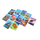 Ecosystem: Coral Reef Game