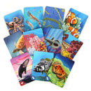 Ecosystem: Coral Reef Game