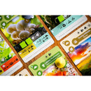 Earth - Abundance Expansion Game