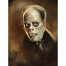 Phantom Of The Opera Puzzle 500 pieces