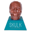 Asmodee Skulk Game