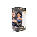 MINIX Football Stars Maradona Century Goal Special Edition 10D Figurine